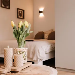 casa-la-vida-beach-house.zandvoort-hotels.com/